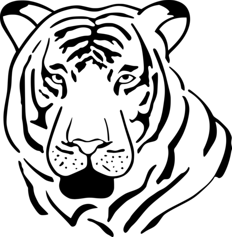 Sad Looking Tiger Coloring Page